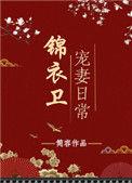 锦衣卫宠妻日常讲什么故事