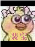 裴宝山