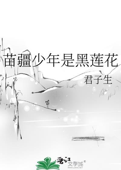 苗疆少年是黑莲花讲的什么