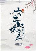 太子妃佛系出走中txt百度