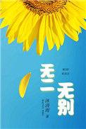 无二无别沐清雨txt
