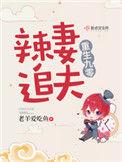重生九零辣妻追夫百度