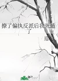 撩了偏执大佬以后