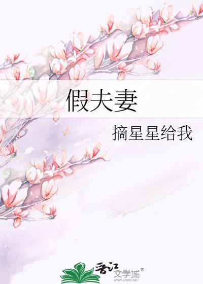 假夫妻 摘星星给我