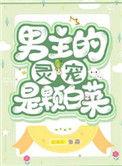男主灵宠是个白菜