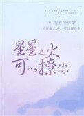 星星之火.可以撩你