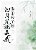 太子死了的白月光是我的