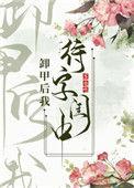 卸甲后我待字闺中是GB吗