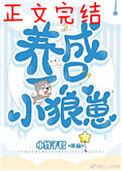 养了一只小狼崽63章