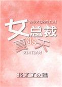 女总裁夏天视频在线观看
