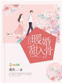 暖婚甜入骨共有几对cp