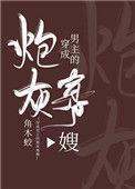 穿成男主的炮灰寡嫂 百度