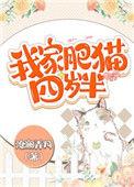 肥猫四岁半62