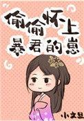 偷偷怀上暴君的崽易成
