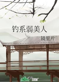 钓系弱美人作者镜里片