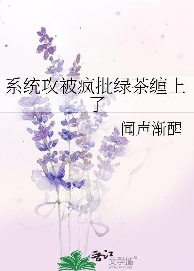 系统攻的文