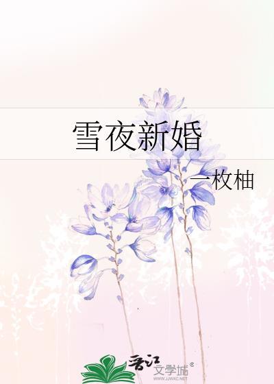 雪夜新婚txt百度