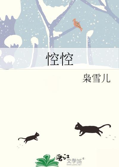 悾悾的意思