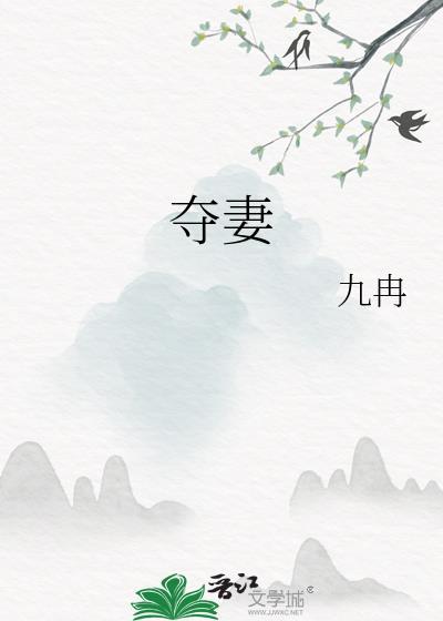 夺妻记