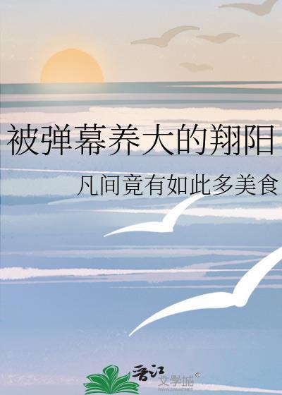 被弹幕养大的翔阳txt