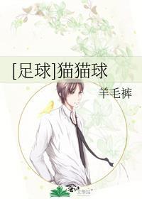 猫咪足球赛