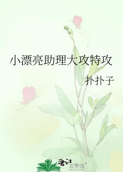 小漂亮助理大攻特攻在线阅读