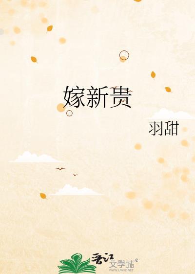 嫁新贵讲什么