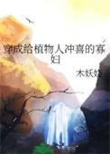 穿成植物人冲喜的寡妇剧情解析