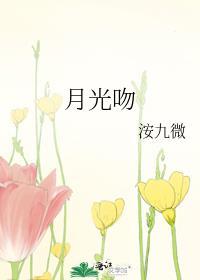 月光吻晋江