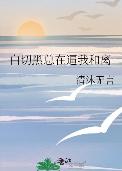 黑切白和白切黑全文阅读