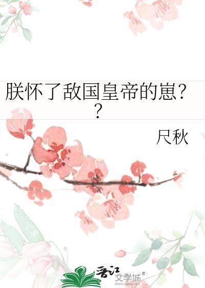 朕怀了敌国质子的