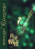 月光与蝴蝶txt