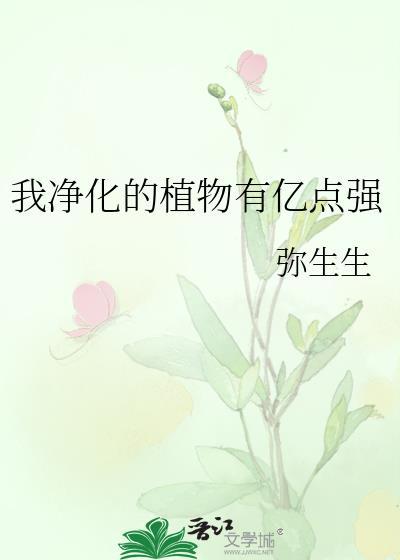 净化植物有哪些