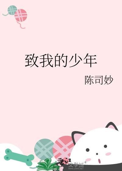 致少年歌词是什么意思