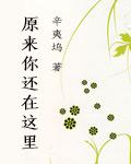 致青春2原来你还在这里电视剧