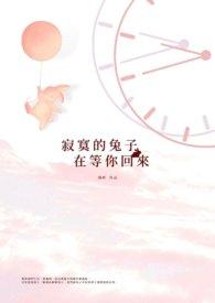 寂寞的夜里你在等着谁歌词
