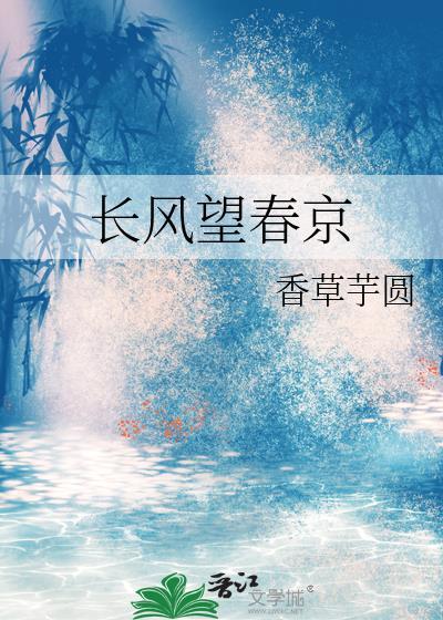 长风望春京讲的什么故事