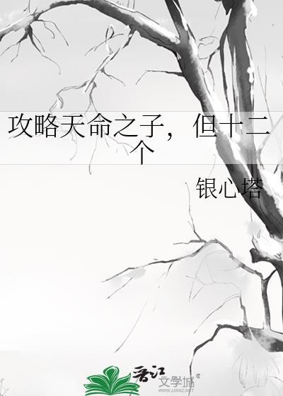 攻略天命之子但十二个小免费