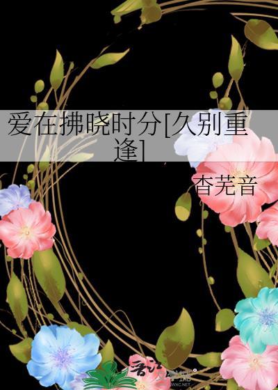 爱在在佛晓之前