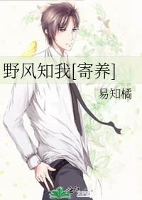 野风歌词是什么意思
