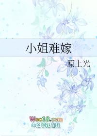 小姐难嫁gl笔趣阁