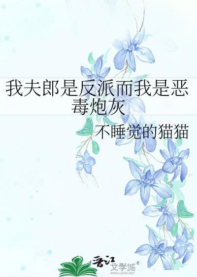 我夫郎是反派而我是恶毒炮灰by不睡觉