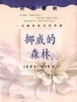 挪威的森林免费完整版