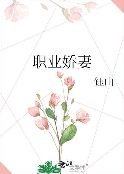 泰剧 职业妻子