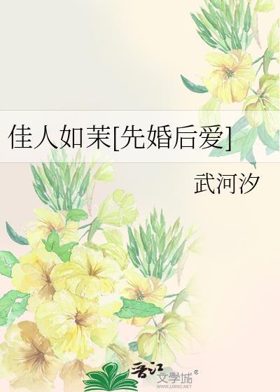 佳人如约全集