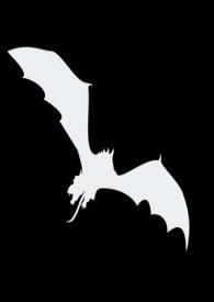 夜行衣是什么意思