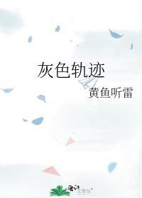 灰色轨迹歌曲