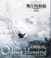 奥汀的祝福BL天籁纸鸢