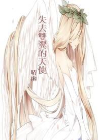 折断双翼的天使