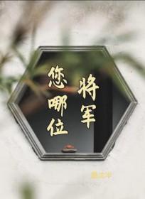 将军您不能这样说的是谁